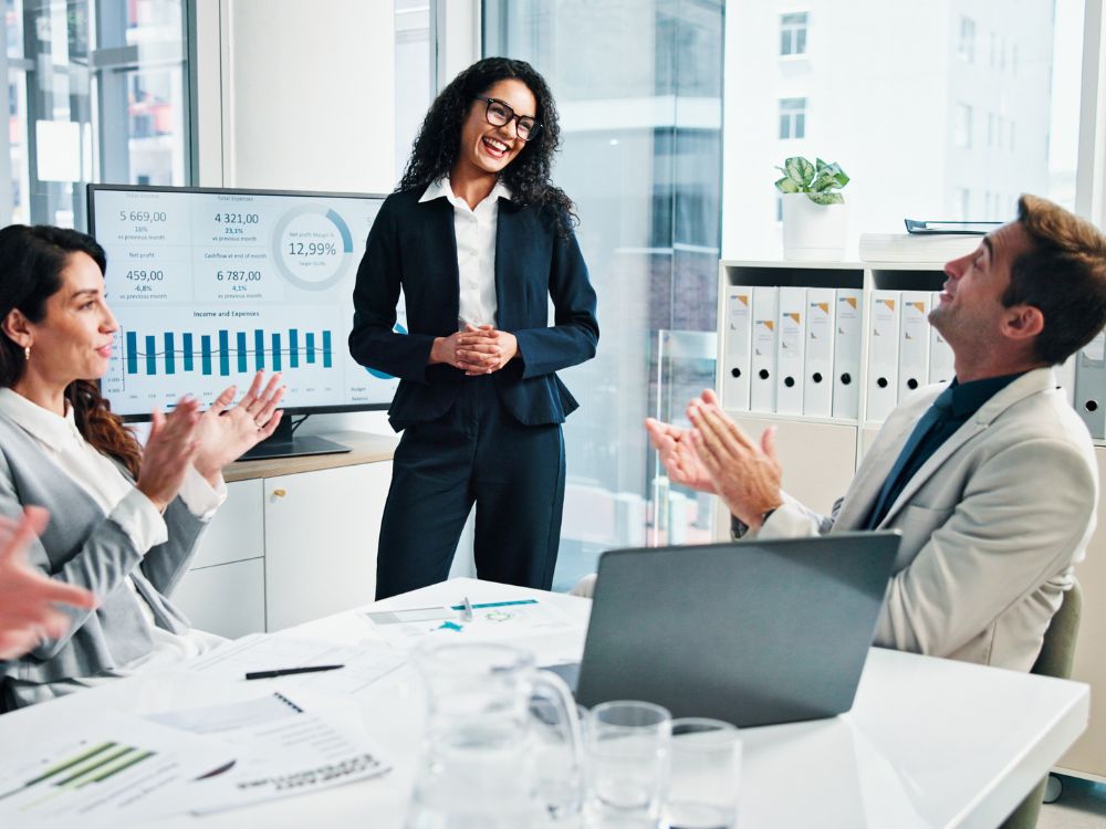 Professional Digital Analytics Performance Clarity